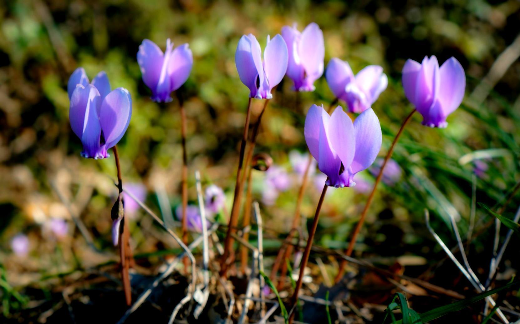 Beautiful celebration setup showcasing our decoration expertise